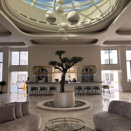 酒店 Arin Bodrum 图尔古特雷斯