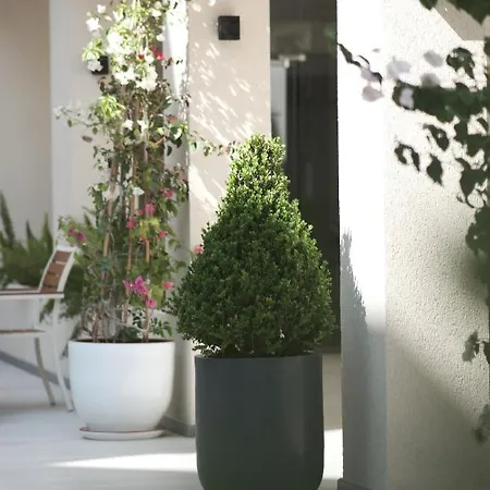 Ξενοδοχείο Arin Bodrum 5*