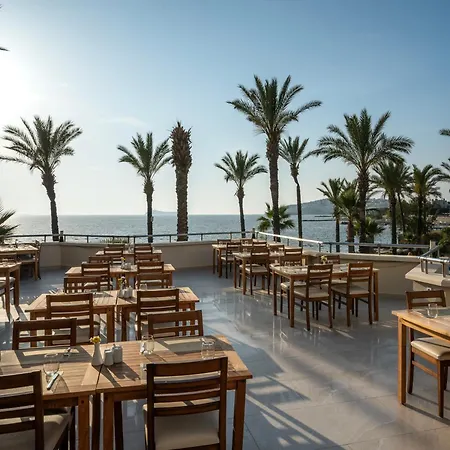 Arin Bodrum