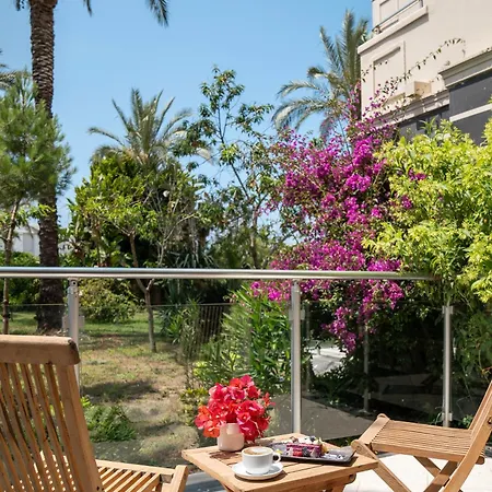 Arin Bodrum