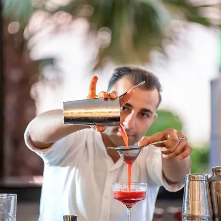 酒店 Arin Bodrum 图尔古特雷斯