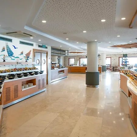 Arin Bodrum 图尔古特雷斯