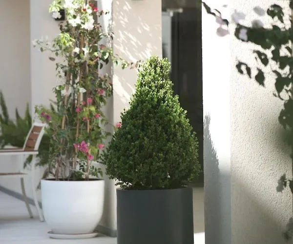 Hotel Arin Bodrum 5*